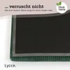 Lycce Cuscino per panca Cuscino con morsetti 1 listello Anteprima dell’immagine prodotto 4