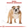 Royal Canin Bulldog Adult, Dorosły, Buldog, Średnie (11 - Podgląd zdjęcia produktu 4