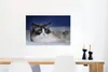 MuchoWow® Poster Liegende schwarz-weiße Ragdoll-Katze 90x60 Produktbild-Vorschau 5