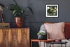 MuchoWow® MuchoWow® Gerahmtes Poster Dschungel - Panther - Produktbild-Vorschau 3