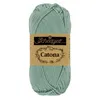 Scheepjes Catona 25g (528) - Silver Blue Produktbild-Vorschau 1