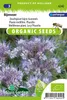 Phacelia Tanacetifolia, pianta del miele - semi biologici - Anteprima dell’immagine prodotto 6