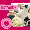 Dokas Minis Entenbrust für Hunde, 9x70g Produktbild-Vorschau 2