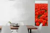MuchoWow® Poster Ein großes Feld mit ausschließlich roten Produktbild-Vorschau 2