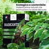 LERAVA® - Wurzelstimulator für Stecklinge - [Bioaktivator] Produktbild-Vorschau 6