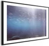 Posterpapier Poster - Fish in the Depths 90x60 cm Tiere Produktbild-Vorschau 1