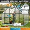 Szklarnia BRAST z aluminium i fundamentem | 310 x 250 x 205 Podgląd zdjęcia produktu 6