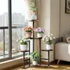 A multi-tiered plant stand with various potted plants placed on it, situated near a large window with a view of buildings. Náhľad obrázku produktu