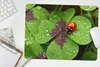 MuchoWow® Mauspad Mousepad Marienkäfer auf einem Produktbild-Vorschau 5