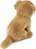 RAPPA Leonessa di peluche 25 cm ECO-FRIENDLY Anteprima dell’immagine prodotto 4