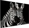 Zebras schwarz weiß Wandbild Leinwandbild Kunstdruck XL Produktbild-Vorschau 1