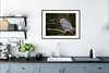 MuchoWow® Gerahmtes Poster Eule - Vogel - Äste - Natur Produktbild-Vorschau 4