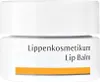 Dr.Hauschka Balsam do pielęgnacji ust, 4.5 ml Náhľad obrázku produktu 1