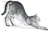 Royal Canin Feline Indoor - 400 g Produktbild-Vorschau 11