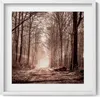Waldweg in Sepia-Farben– Wandbild mit Rahmen – Gerahmtes Produktbild-Vorschau 1