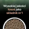 PURINA PRO PLAN LIVECLEAR STERILISED ADULT Bogata w Łososia Produktbild-Vorschau 8