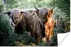 MuchoWow® Poster Schottische Highlander - Wald - Tiere Produktbild-Vorschau 1