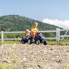 Falk 3080AB, 2 lat(a), 4 szt., Plastik, Stal, Czarny, Podgląd zdjęcia produktu 21