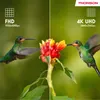 Thomson 43 pouces (109cm) 4K Ultra HD Smart Google TV, Voir les images du produit 6