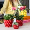 Kolibri Home Keramik Beerentopf - Ø6 cm Produktbild-Vorschau 3