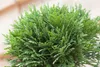 Thuja occidentalis 'Danica', Kugel-Lebensbaum, immergrün, Produktbild-Vorschau 1
