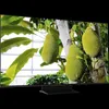 TCL 50Q7C Smart Mini LED TV, 126 cm, Ultra HD 4K, WiFi, Podgląd zdjęcia produktu 2