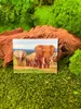 Onwomania Elephant Family Pachyderm 9x7cm Magnes 3D Magnes Podgląd zdjęcia produktu 2