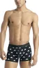 Boxer Adidas 00004AM002-913 pour Homme Voir les images du produit 3
