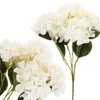 Hortensia Dense Beau Bouquet D'hortensias Fleurs Voir les images du produit 1