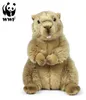 WWF - Peluche - marmotta (23 cm) peluche realistico Anteprima dell’immagine prodotto 1