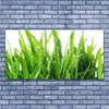 Tulup Leinwand-Bilder 140x70 Wandbild Canvas Kunstdruck Produktbild-Vorschau 2
