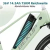 V2 Stadt-Elektrofahrrad, 36V, 250W, 25 km/h, mechanische Produktbild-Vorschau 5