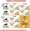 Royal Canin British Shorthair, Dorosły, Brytyjski Podgląd zdjęcia produktu 6