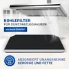 Aktivkohlefilter passend wie Bosch 00460367 Kohlefilter Produktbild-Vorschau 2