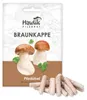 Hawlik Pilzbrut Braunkappe Dübel – 20 Pilzdübel auf Stroh, Produktbild-Vorschau 1