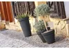 Klassischer runder Blumentopf DBC46 | Anthrazit Produktbild-Vorschau 11