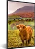MuchoWow® MuchoWow® Gerahmtes Poster Schottisches Produktbild-Vorschau 1