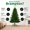 Black Box Trees Brampton Weihnachtsbaum - Weihnachten Produktbild-Vorschau 2