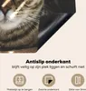KitchenYeah© Herdabdeckplatte Katze - Kissen - Licht , Produktbild-Vorschau 4