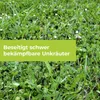PROTECT GARDEN Loredo® Quattro Universal-Rasenunkrautfrei Produktbild-Vorschau 5