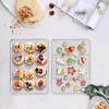 TEAMFAR chladicí mřížka z nerezové oceli 29,7 x 22,8 x 1,5 Náhled obrázku produktu 5