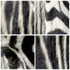 Gerahmtes Poster - Rahmen in heller Eiche - Zebra Streifen Produktbild-Vorschau 9