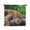 MuchoWow® Wandteppich Wandbehang Jaguar ruht 120x120 cm Produktbild-Vorschau 1