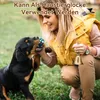 Handglocke,Tischglocke Messing mit Holzgriff 11*11*18cm Produktbild-Vorschau 6