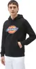 Dickies Herren Hoodie Icon Logo black S Produktbild-Vorschau 1