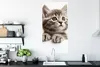 MuchoWow® Poster Katze - Grau - Tiere 60x120 cm - Produktbild-Vorschau 3