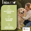 REAVET Zeckenschutz Hund, Zeckenspray 500ml - Zeckenmittel Produktbild-Vorschau 5