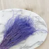 Federgras Getrocknete - (Stipa pennata) - Lavendel Produktbild-Vorschau 3