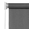 Tenda a Rullo per Esterni 200x230 cm Antracite Anteprima dell’immagine prodotto 2