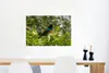 MuchoWow® Poster Vogel zwischen den Blättern im Dschungel Produktbild-Vorschau 5